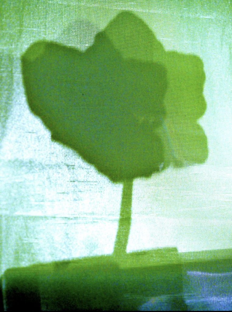 Bildschirmfoto 2021-04-19 um 19.43.03
